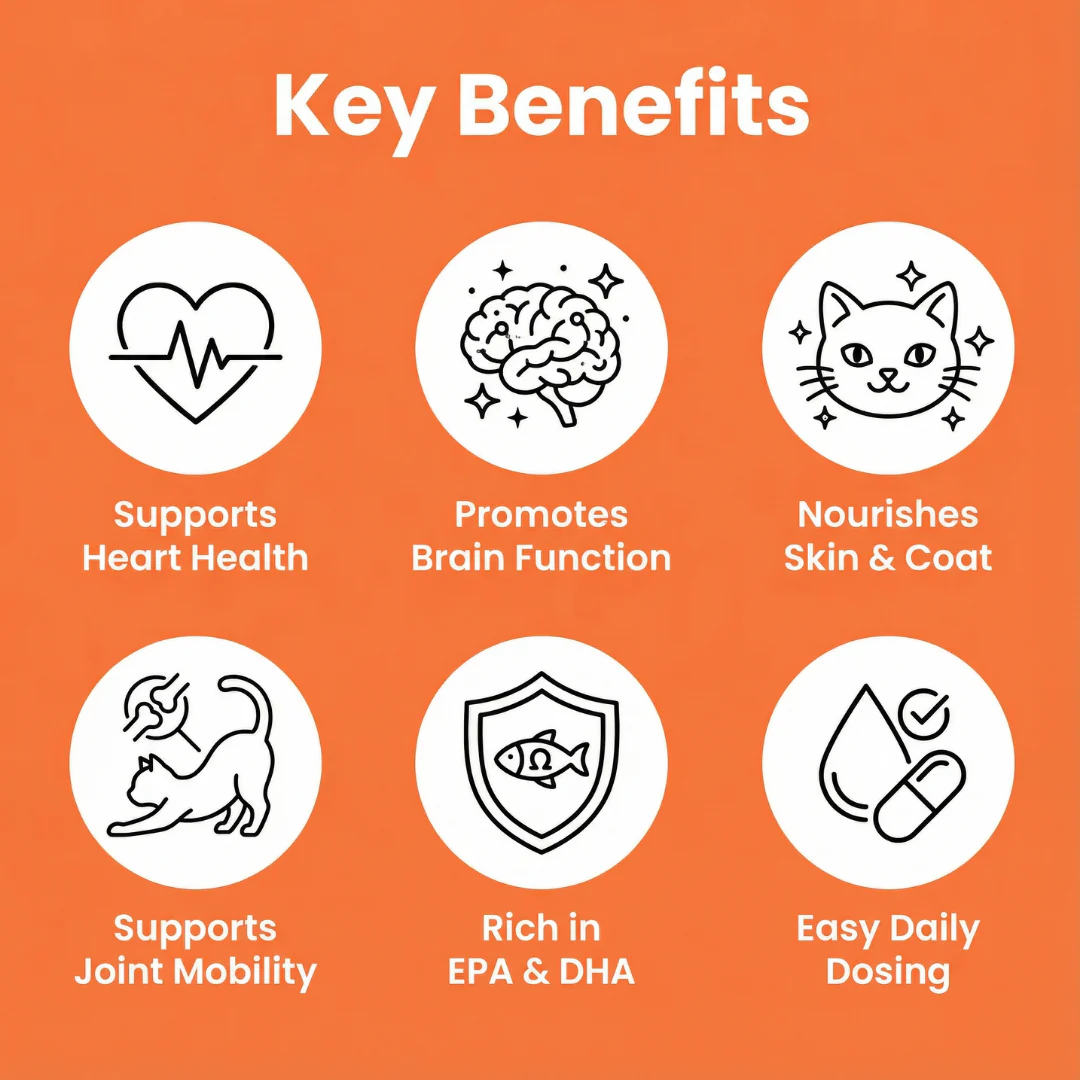KittySupps™ Omega-3 Supplement - Image 3