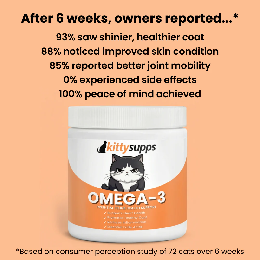 KittySupps™ Omega-3 Supplement - Image 4